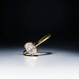 Ring 008