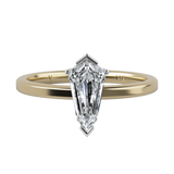 Ring 039