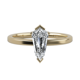 Ring 039