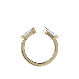 Ring 043