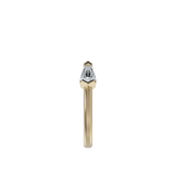 Ring 043